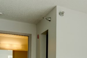Master Bedroom Picture